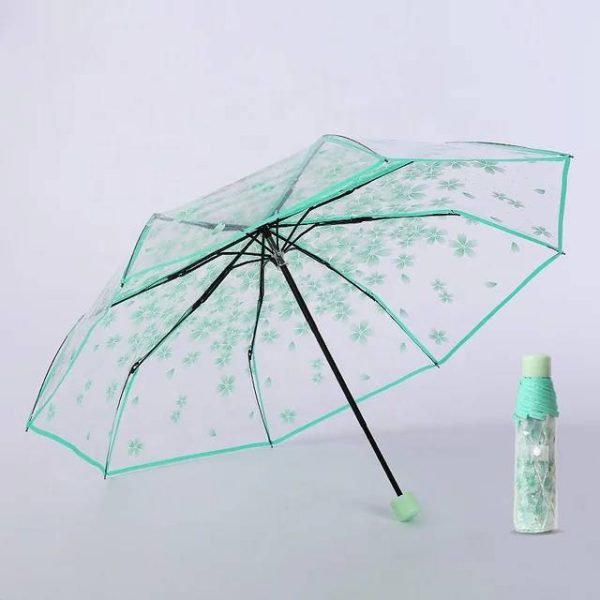 Transparent Umbrella - Image 2