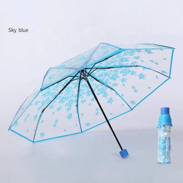 Transparent Umbrella